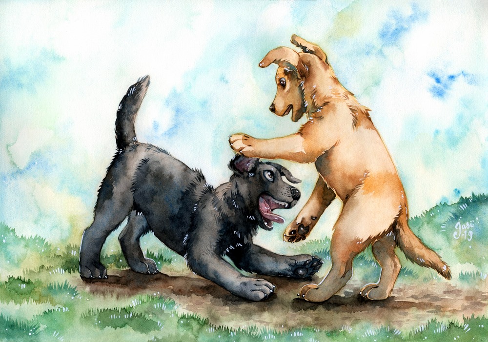 Print - Playful Puppies